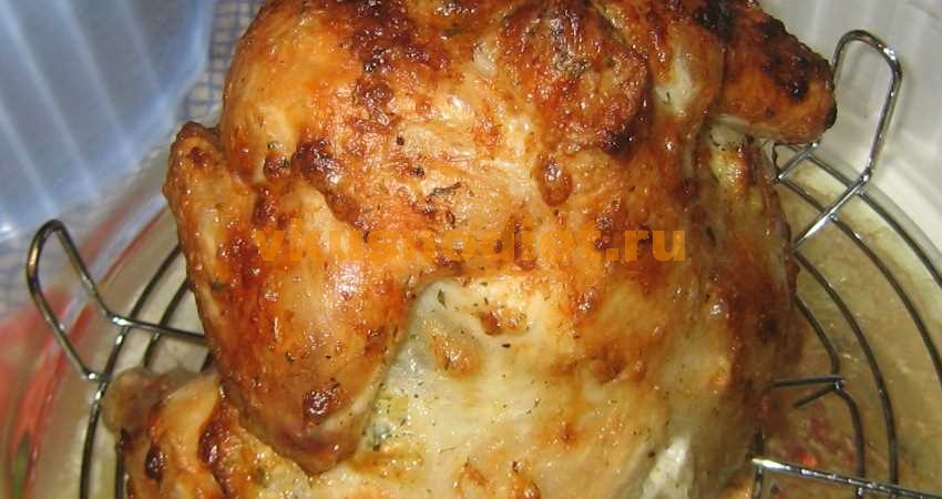 Курица в аэрогриле: простые и изысканные рецепты