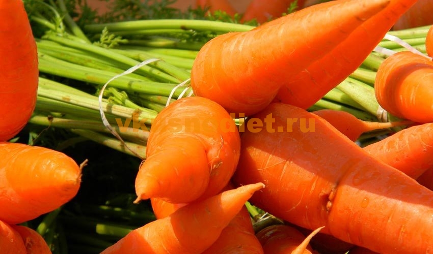 Морковь со сливками